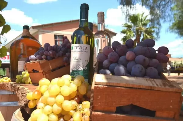 Homenaje a la vitivinicultura