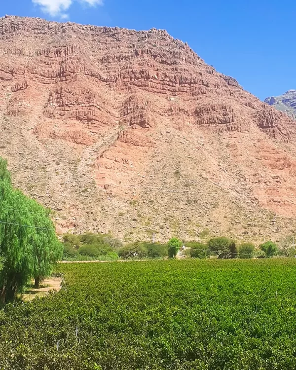 Camargo en verde, rojo y celeste