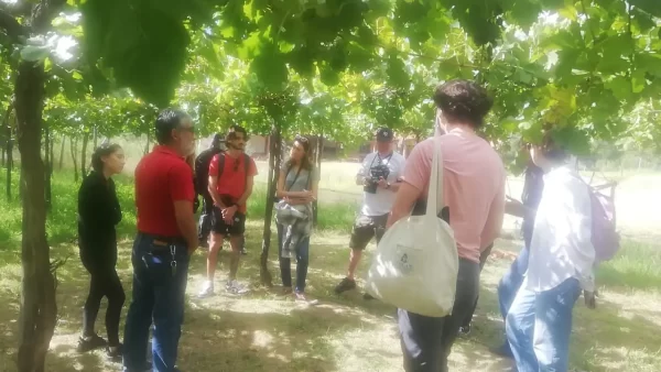 Grupo de maestrantes en Wine Management provenientes de Europa y Estados Unidos - Vitivinicultura