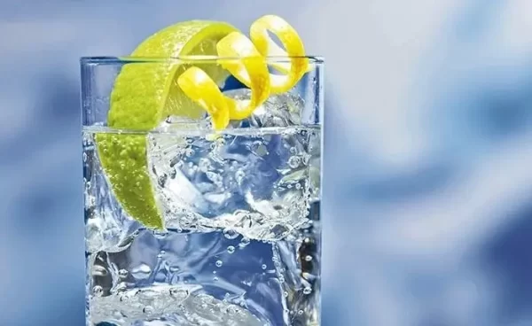 Las Diferencias Entre El Singani Y El Pisco