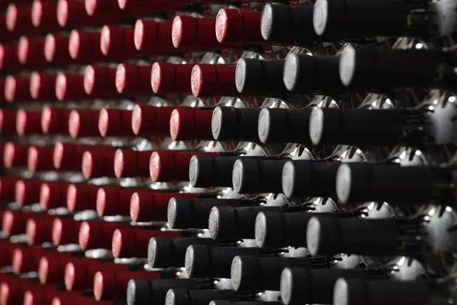 Nunca escuchaste hablar de los vinos bolivianos