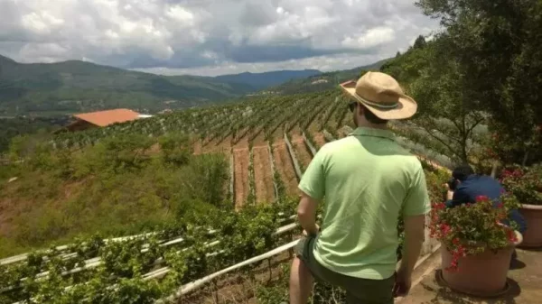 Samaipata apuesta por los vinos. Ph. laregion.bo