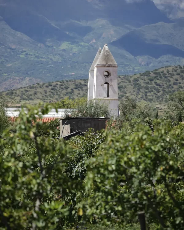 Vendimia Chapaca - Tarija Uriondo