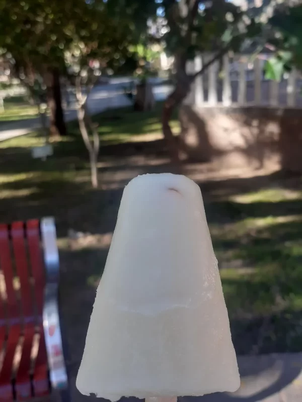 Villa Abecia, del olvido a la memoria