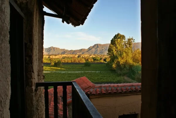 La gobernación empezó el catastro vitícola del valle central de Tarija.