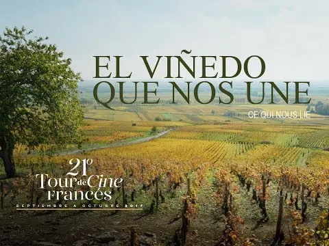 El viñedo que nos une