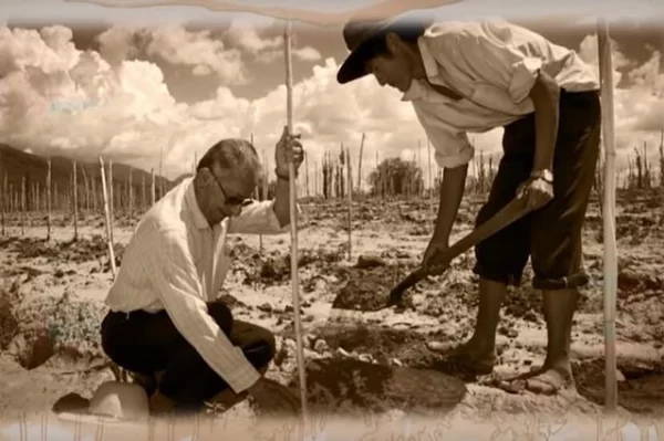 La cepa Tannat celebró su cumpleaños