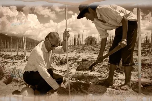 La cepa Tannat celebró su cumpleaños