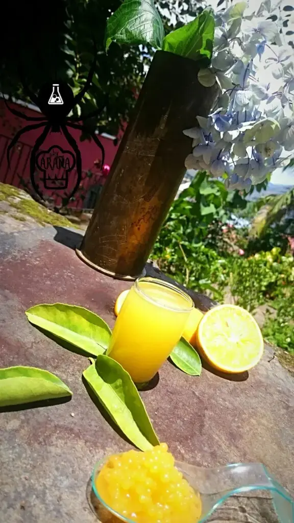Yungueñito