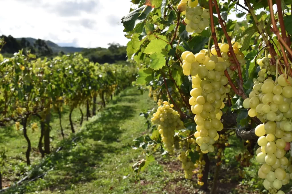 Samaipata las puertas del cielo