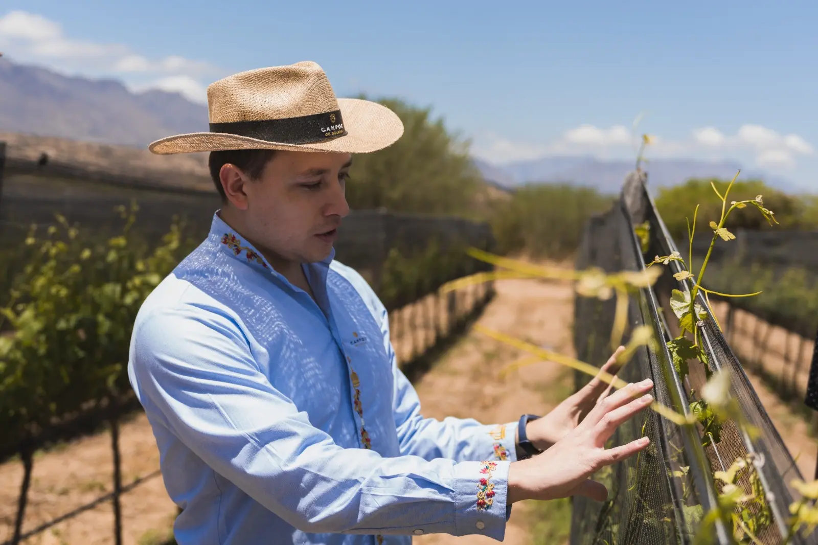 ¡Salud! con Mario Sfarcich