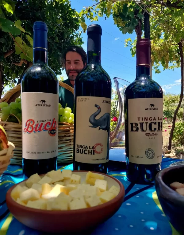 Vinos artesanales de muy buena calidad