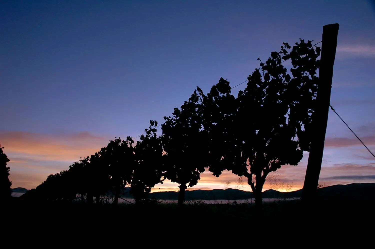 Bolivia avanza en su pasión por los vinos y singani de altura.