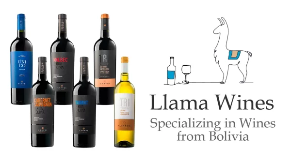Llama Wines, La Empresa Que Lleva Vinos Y Singanis A EEUU
