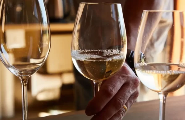 Sauvignon Blanc una cepa que también se cultiva en Bolivia.