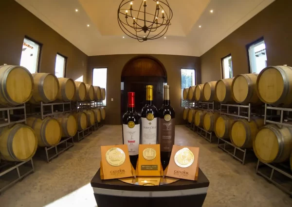 Aranjuez firmó con la empresa nacional para proveerse de botellas de vidrio.