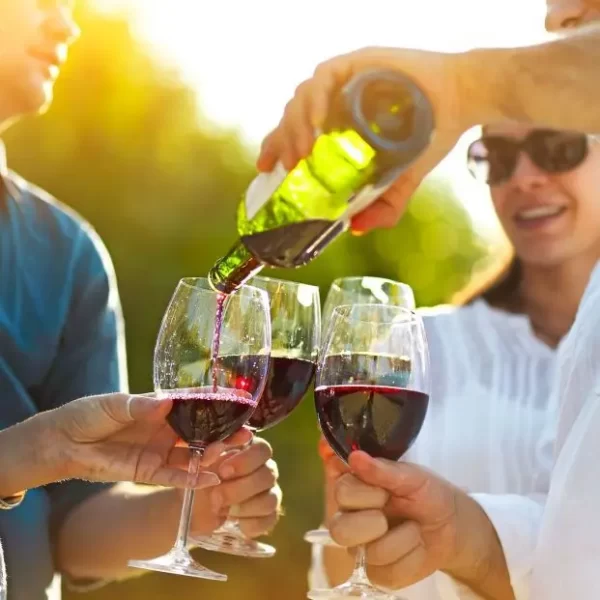 Tarija tiene que dar el salto hacia un nuevo orden económico, liderado por la cadena de uva, vino y singani.