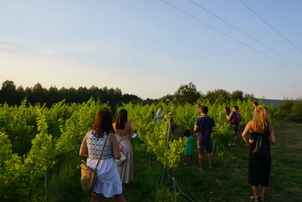 El 27 de septiembre se celebra el día mundial del turismo, un sector potente para mover la economía general.