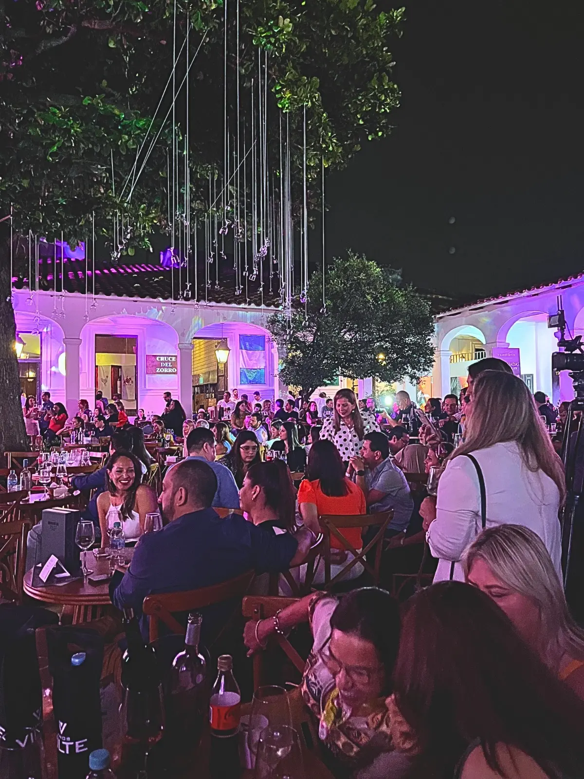 Las noches en el Wine Fest tuvieron la asistencia de los amantes del vino y el singani.