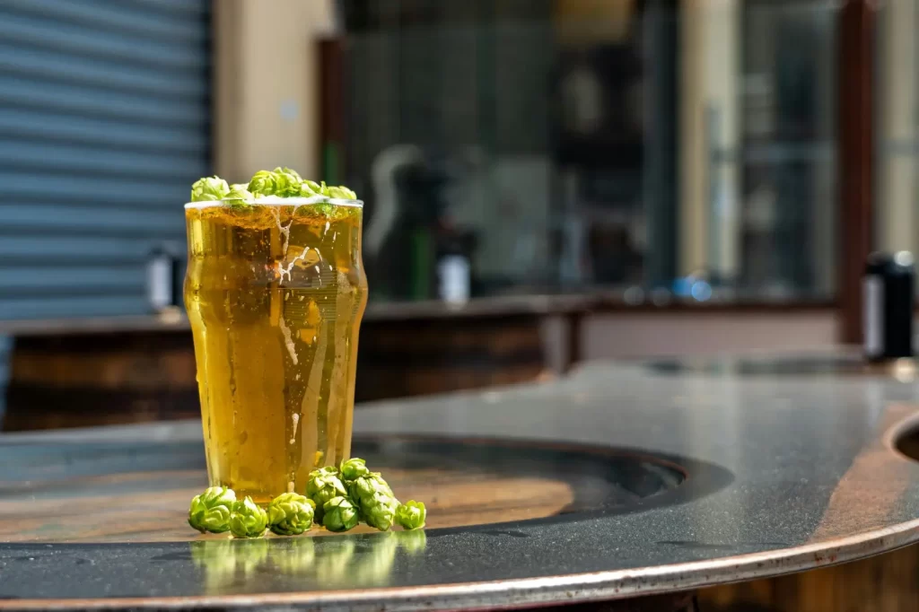 Cerveza y bienestar: el maridaje perfecto para una alimentación equilibrada.