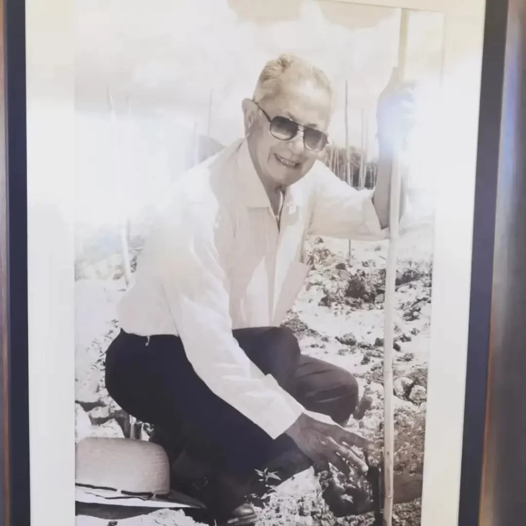 Don Milton Castellanos, fundador de Milcast Corp S.R.L. sembrando la primera cepa Tannat en el lote Origen allá por 1999.