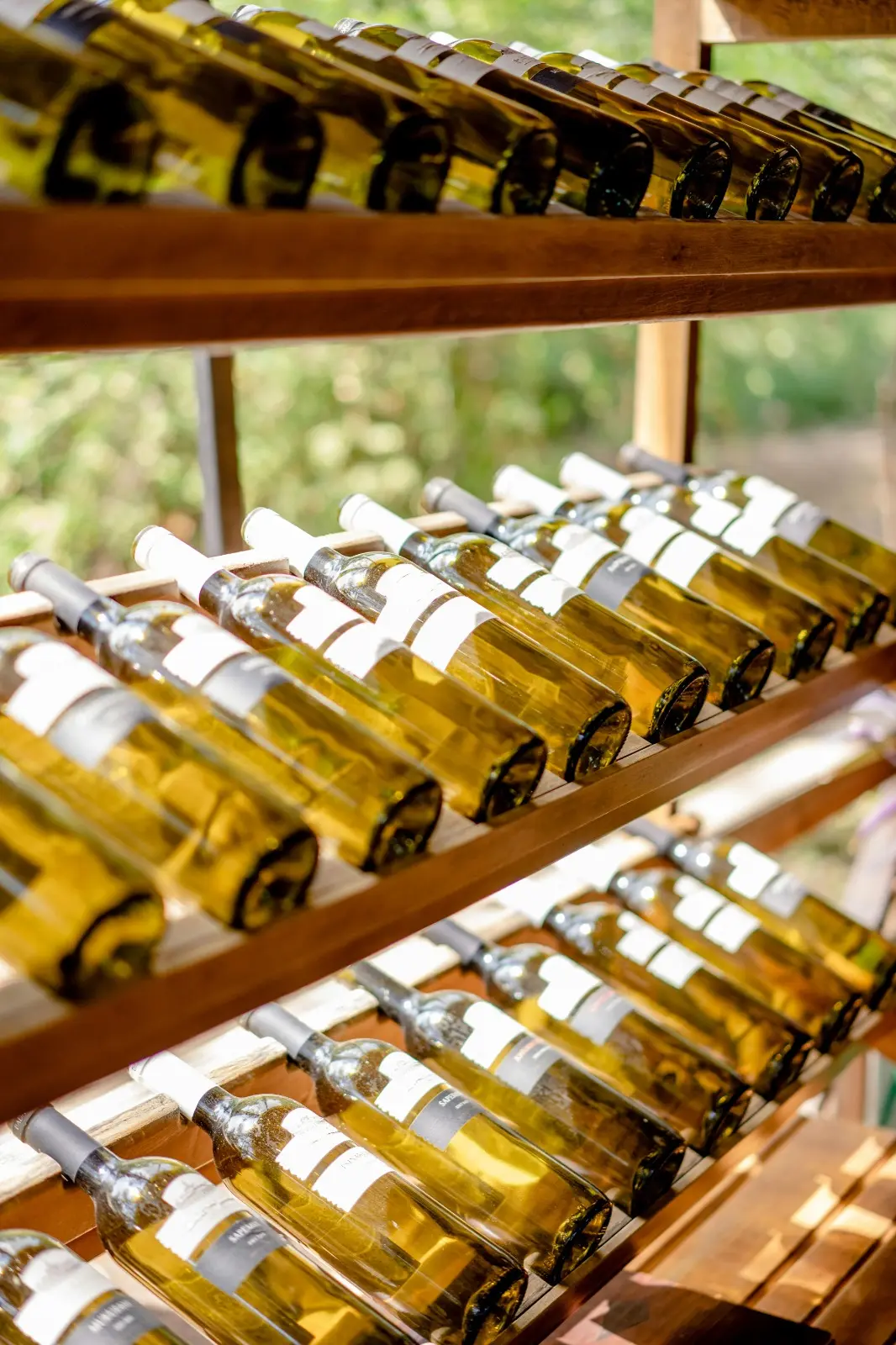 Te contamos los ejes centrales de la tendencia del vino en el mundo.