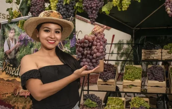 En Camargo se presentó el diagnóstico del sector vitícola durante la FENAVIT 2025.