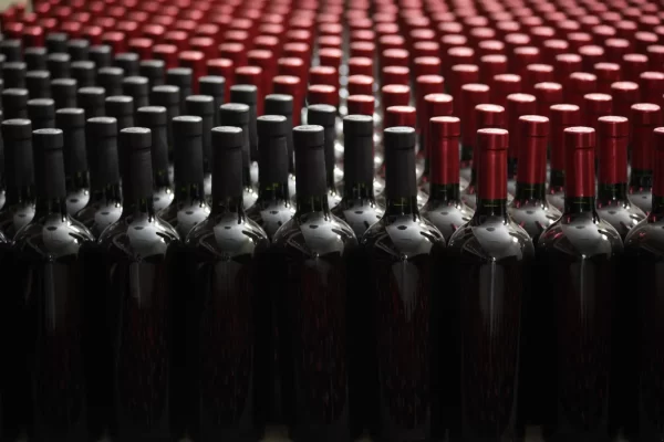 La industria vitícola se suma a la historia de Tarija en su mes aniversario.