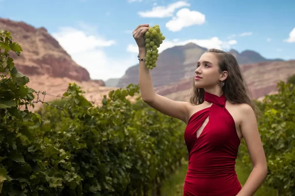 La vendimia de Camargo estará imperdible.