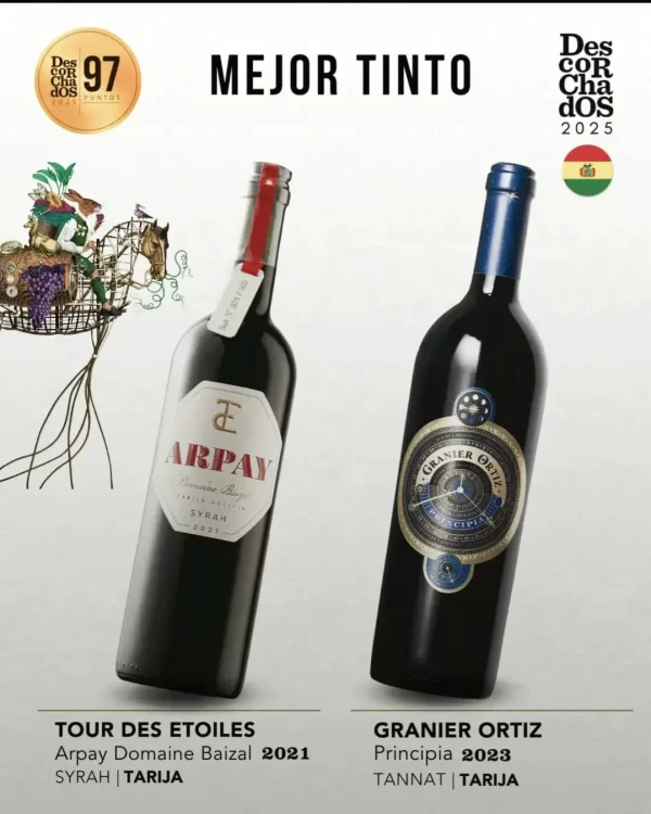 Patricio Tapia seleccionó a Arpay de Ana Rosa Liebers y a Granier Ortiz de la familia Granier como los mejores tintos 2025.