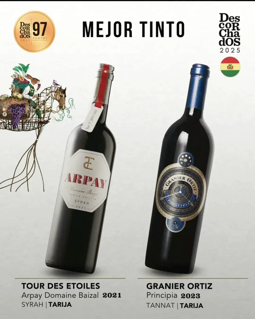 Patricio Tapia seleccionó a Arpay de Ana Rosa Liebers y a Granier Ortiz de la familia Granier como los mejores tintos 2025.