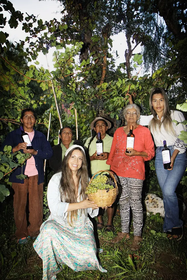 Yokich preserva, conserva y promueve las viñas antiguas en Cinti.