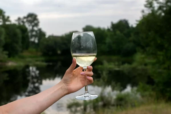 Las bodegas compraron, entre el 2024 - 2025, uva a precios satisfactorios para los viñateros.