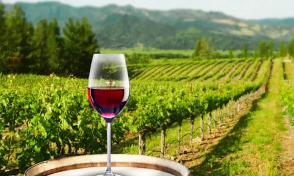 Los vinos que se exportan a EEUU sufrirán un aumento del 10% en aranceles.