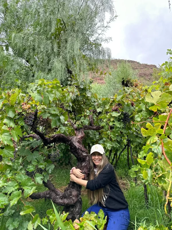 Hoy el equipo de mujeres que cuidan viñas centenarias recibirán un homenaje.