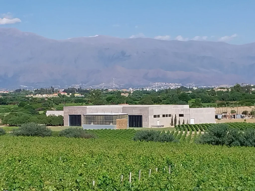 Urge proteger el esfuerzo de las bodegas que con tanto esfuerzo recuperaron tierras erosionadas plantando uva.