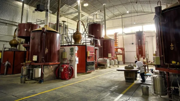 La tecnología francesa que tiene Casa Real para la destilación en la elaboración del singani es única a nivel sudamericano.