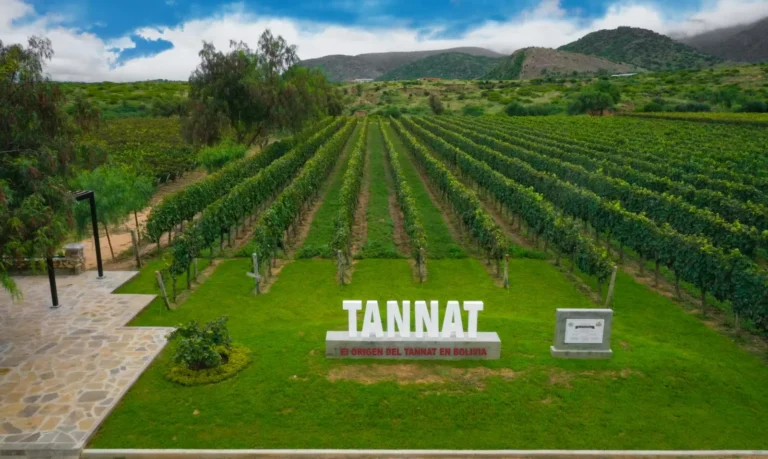 El año 2013 marcó un punto de inflexión cuando el vino “Juan Cruz” de Aranjuez, un Tannat Gran Reserva, obtuvo la primera medalla Gran Oro para Bolivia