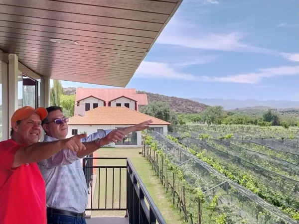 Los paisajes vitícolas te invitan a disfrutar de las viñas.