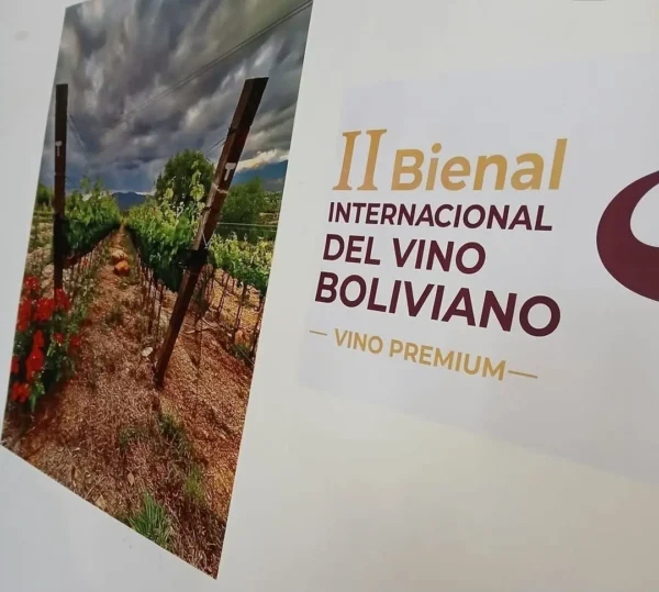 Los vinos de Bolivia se muestran en Madrid.