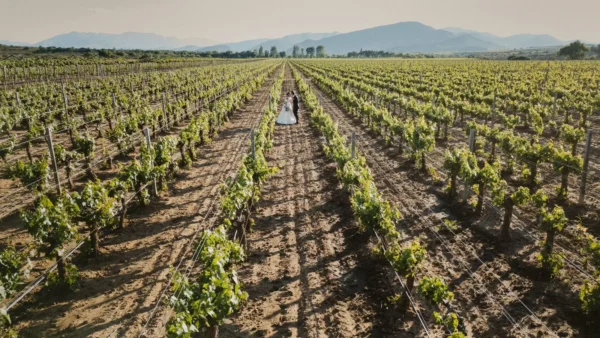 Tarija, tierra donde los vinos cuentan historias y los paisajes se convierten en promesas de amor eterno.