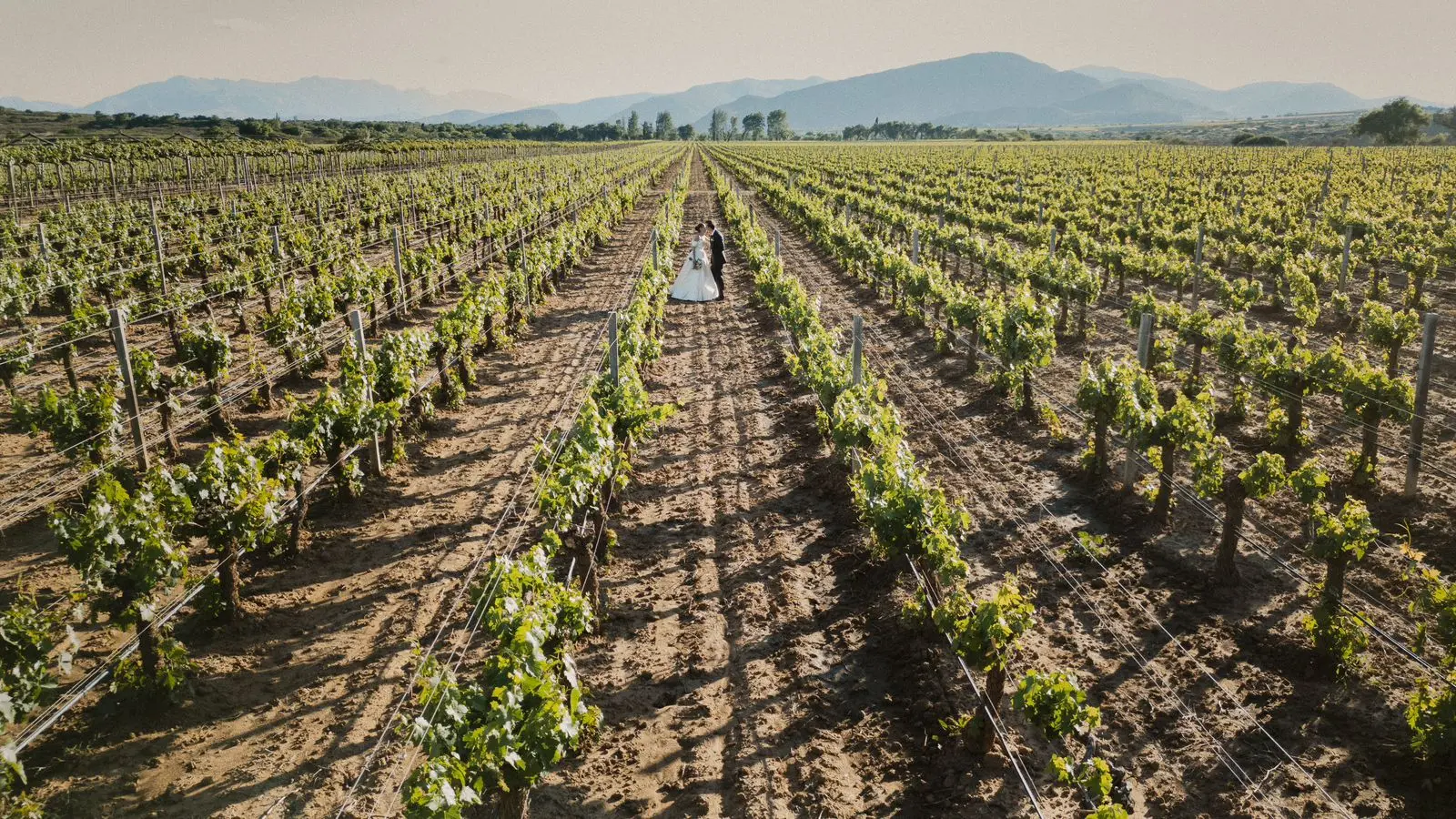 Tarija, tierra donde los vinos cuentan historias y los paisajes se convierten en promesas de amor eterno.