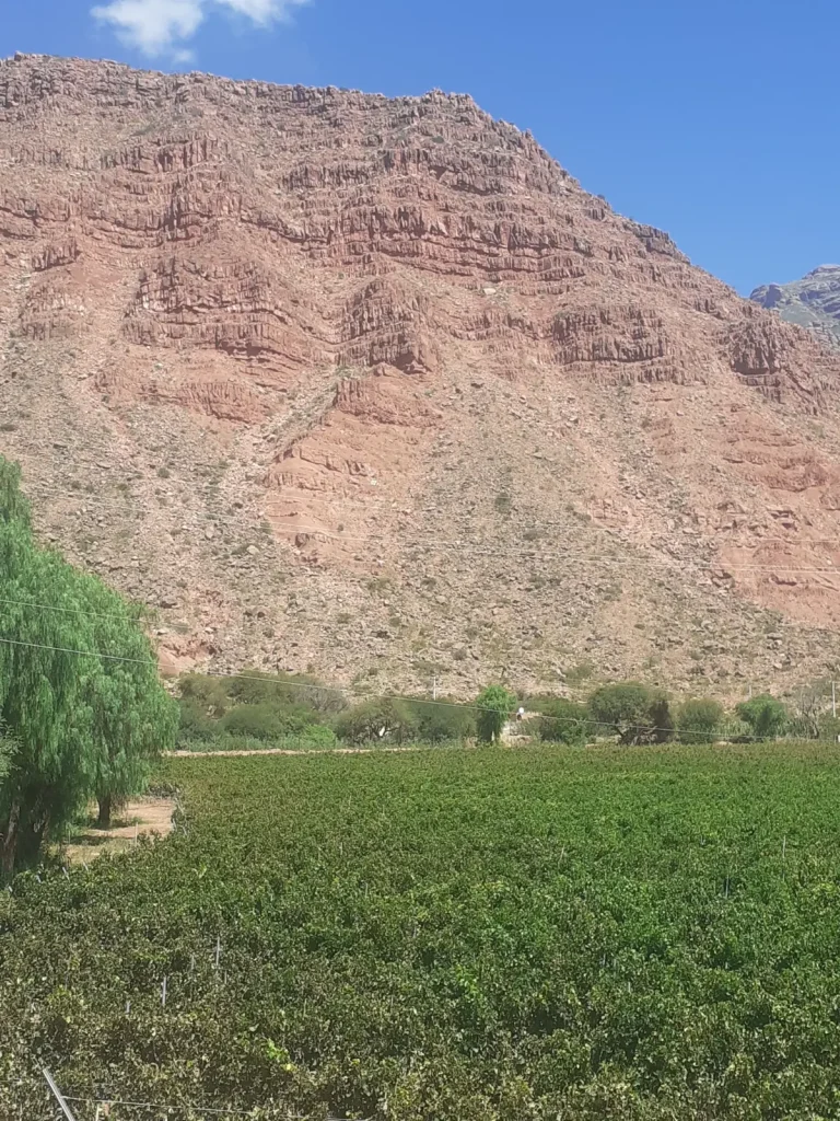 Recorrer esta ruta es una travesía por la historia de los valles productores del país.