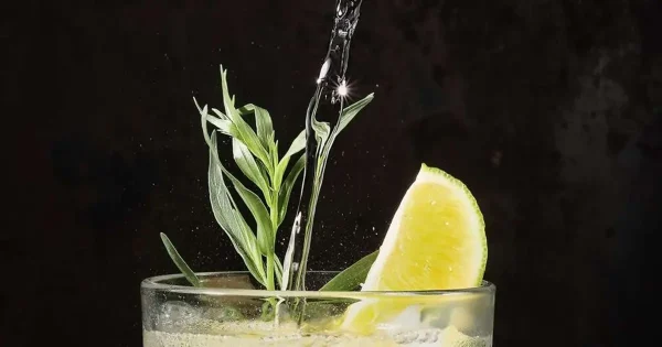 Bolivian Cocktail Singani 2026 (BCS) reinterpretará el Singani desde la coctelería contemporánea.