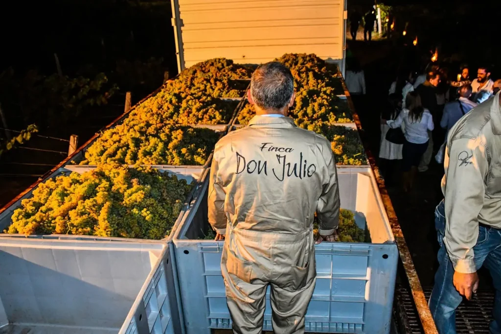 En Kohlberg existe una filosofía de producción orientada a la expresión del origen.