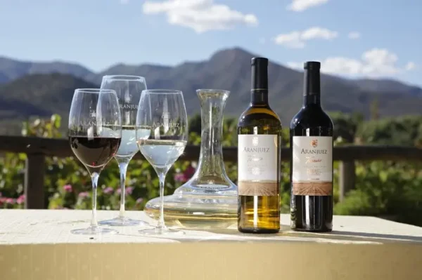 "Son años de esfuerzo", señaló Ramón Castellanos, presidente del directorio, Aranjuez - Milcast Corp.