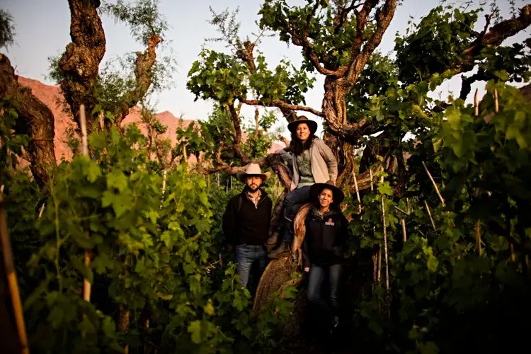 El equipo de Jardín Oculto, María José, Mercedes y Helios, posando frente a una vid de negra criolla que crece alrededor de un árbol de chañar. PH Patricio Crooker