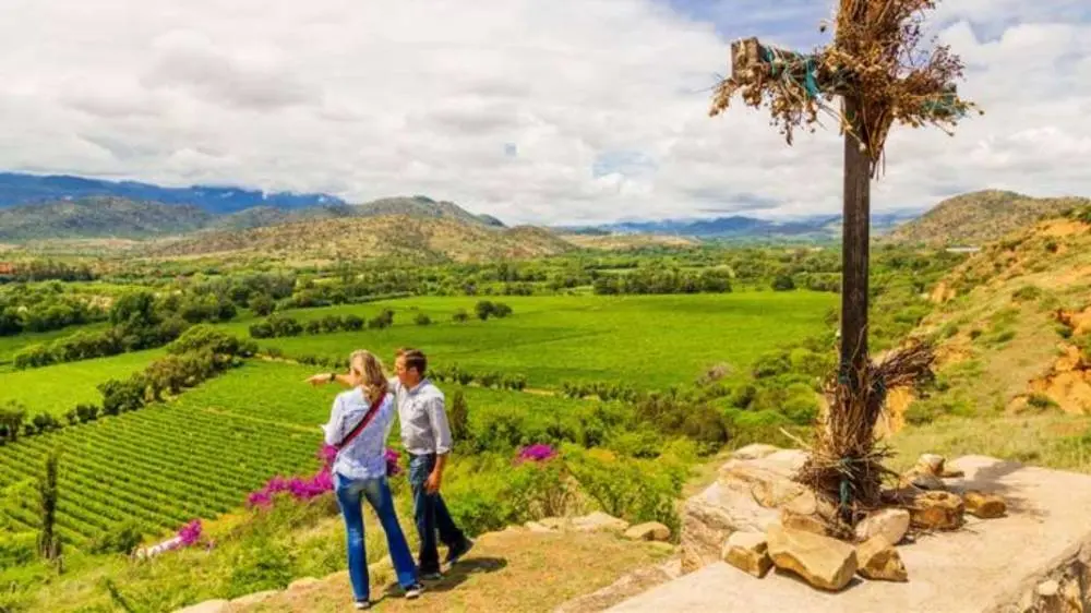 En Bolivia, sus vinos muestran consistencia, profundidad y capacidad de guarda