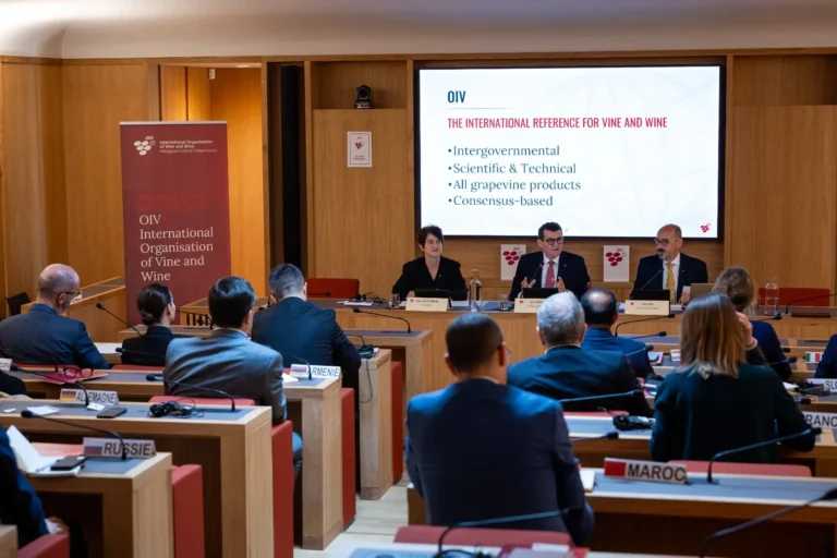 La OIV consolidó su Plan Estratégico 2025–2029, nuevas estructuras y la histórica gira diplomática por América del Sur