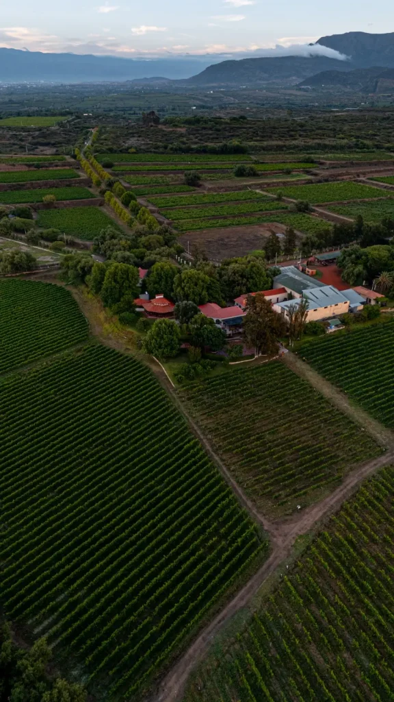 Los cinco hijos asumen el legado. La hacienda consolida su identidad como referente vitivinícola de Bolivia